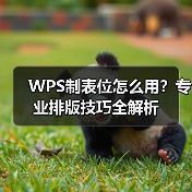 WPS制表位怎么用？专业排版技巧全解析（图1）