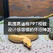 韩国高逼格PPT模板：设计感爆棚的怀旧神器（图1）