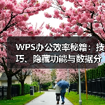 WPS办公效率秘籍：技巧、隐藏功能与数据分析全解析（图4）