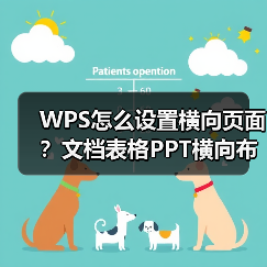 WPS怎么设置横向页面？文档表格PPT横向布局教程（图4）