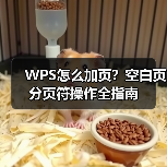 WPS怎么加页？空白页分页符操作全指南（图2）