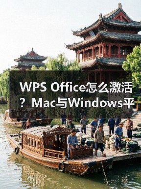 WPS Office怎么激活？Mac与Windows平台教程全解（图4）