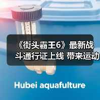 《街头霸王6》最新战斗通行证上线 带来运动主题服饰道具（图4）