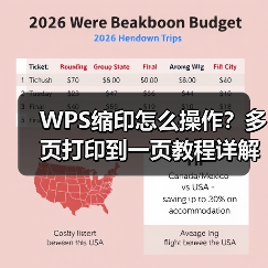 WPS缩印怎么操作？多页打印到一页教程详解（图3）