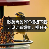 欧美商务PPT模板下载：设计感爆棚，提升干爹魅力？（图4）