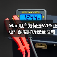 Mac用户为何选WPS正版？深度解析安全性与效率优势（图2）