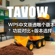 WPS中文版选哪个版本？功能对比+版本选择全攻略（图1）
