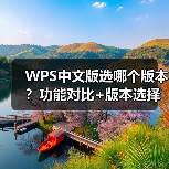 WPS中文版选哪个版本？功能对比+版本选择全攻略（图2）