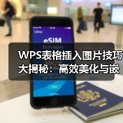 WPS表格插入图片技巧大揭秘：高效美化与嵌入教程（图3）