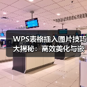 WPS表格插入图片技巧大揭秘：高效美化与嵌入教程（图4）