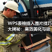 WPS表格插入图片技巧大揭秘：高效美化与嵌入教程（图1）