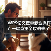 WPS论文查重怎么操作？一键查重全攻略来了！（图3）