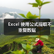 Excel 使用公式提取不重复数据（图1）