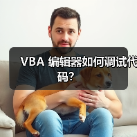 VBA 编辑器如何调试代码？（图4）