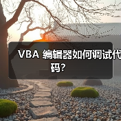 VBA 编辑器如何调试代码？（图3）