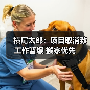 横尾太郎：项目取消致工作暂缓 搬家优先（图4）