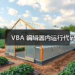 VBA 编辑器内运行代码（图4）