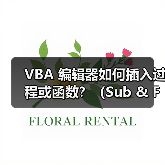 VBA 编辑器如何插入过程或函数？（Sub & Function）（图2）