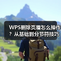 WPS删除页眉怎么操作？从基础到分节符技巧全解析（图2）