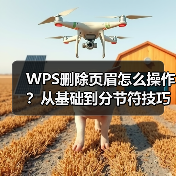 WPS删除页眉怎么操作？从基础到分节符技巧全解析（图3）