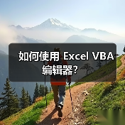 如何使用 Excel VBA 编辑器?(图1) 如何使用 Excel VBA 编辑器?(图1)