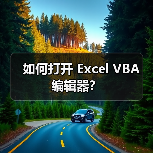 如何打开 Excel VBA 编辑器？（图1）