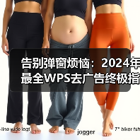 告别弹窗烦恼：2024年最全WPS去广告终极指南（图3）