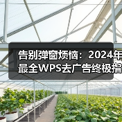 告别弹窗烦恼：2024年最全WPS去广告终极指南（图2）