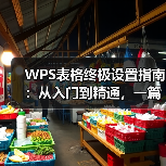WPS表格终极设置指南:从入门到精通,一篇就够了(图4) WPS表格终极设置指南:从入门到精通,一篇就够了(图4)