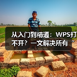 从入门到精通:WPS打不开?一文解决所有“打开”难题(图1) 从入门到精通:WPS打不开?一文解决所有“打开”难题(图1)