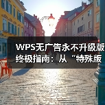 WPS无广告永不升级版终极指南:从“特殊版本”到安全替代方案(图4) WPS无广告永不升级版终极指南:从“特殊版本”到安全替代方案(图4)