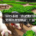 WPS表格“在试图打开文件时遇到错误”？别慌，终极解决方案在此（图3）