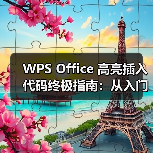 WPS Office 高亮插入代码终极指南：从入门到精通（图3）