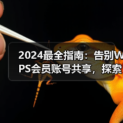 2024最全指南:告别WPS会员账号共享,探索免费获取高级功能的安全之道(图4) 2024最全指南:告别WPS会员账号共享,探索免费获取高级功能的安全之道(图4)