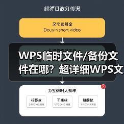 WPS临时文件/备份文件在哪？超详细WPS文件恢复指南 (2024更新)（图4）