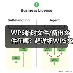 WPS临时文件/备份文件在哪？超详细WPS文件恢复指南 (2024更新)（图1）