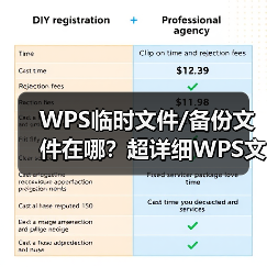 WPS临时文件/备份文件在哪？超详细WPS文件恢复指南 (2024更新)（图3）