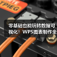 零基础也能玩转数据可视化!WPS图表制作全攻略(图4) 零基础也能玩转数据可视化!WPS图表制作全攻略(图4)