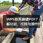 WPS能否编辑PDF?详解功能、权限与操作技巧(图2) WPS能否编辑PDF?详解功能、权限与操作技巧(图2)
