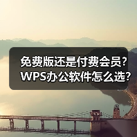 免费版还是付费会员?WPS办公软件怎么选?(图3) 免费版还是付费会员?WPS办公软件怎么选?(图3)