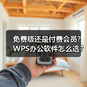 免费版还是付费会员?WPS办公软件怎么选?(图4) 免费版还是付费会员?WPS办公软件怎么选?(图4)