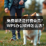 免费版还是付费会员?WPS办公软件怎么选?(图2) 免费版还是付费会员?WPS办公软件怎么选?(图2)