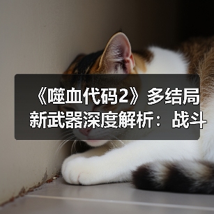 《噬血代码2》多结局新武器深度解析:战斗系统革新揭秘(图1) 《噬血代码2》多结局新武器深度解析:战斗系统革新揭秘(图1)