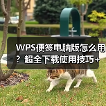 WPS便签电脑版怎么用?超全下载使用技巧+高效工作秘籍(图3) WPS便签电脑版怎么用?超全下载使用技巧+高效工作秘籍(图3)