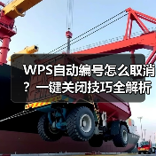 WPS自动编号怎么取消？一键关闭技巧全解析（图3）