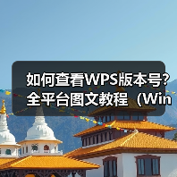 如何查看WPS版本号?全平台图文教程(Windows/mac手机)(图4) 如何查看WPS版本号?全平台图文教程(Windows/mac手机)(图4)