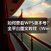 如何查看WPS版本号?全平台图文教程(Windows/mac手机)(图3) 如何查看WPS版本号?全平台图文教程(Windows/mac手机)(图3)
