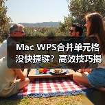 Mac WPS合并单元格没快捷键?高效技巧揭秘(图4) Mac WPS合并单元格没快捷键?高效技巧揭秘(图4)
