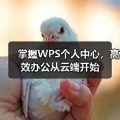 掌握WPS个人中心,高效办公从云端开始(图4) 掌握WPS个人中心,高效办公从云端开始(图4)