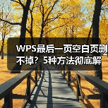 WPS最后一页空白页删不掉?5种方法彻底解决(图4) WPS最后一页空白页删不掉?5种方法彻底解决(图4)